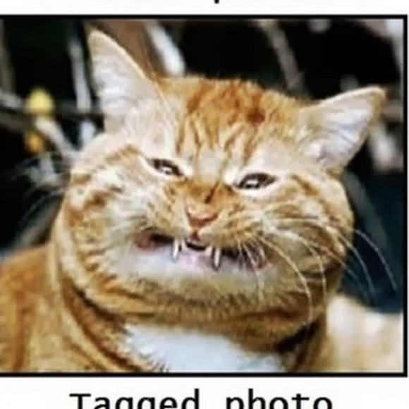 Meet your Posher, Caroline - Picture 1 of 1